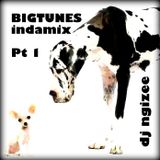 Bigtunes indamix Pt 1