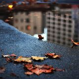 Autumn Session 2013