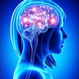 20150911 Teachings for the Electronic Brain