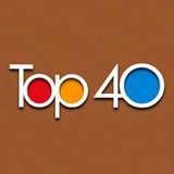 Top 40 Electronic Dance Mix