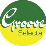 The Milkshake Groove Selecta Vol 2