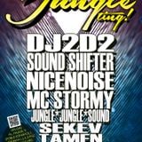 Jungle Ting! - Oct 2013 w/ DJ2D2 - DJ2D2 Dj Set + MC STORMY