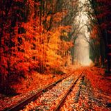 Norby - Autumn Mix (October Promo)