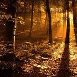 Autumn´s Colours by Sershy CUE