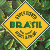 Sessão Brasuca - BossaSamba 70' 80'