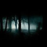 Consistent Beat Service 049 - Live Dark Mix