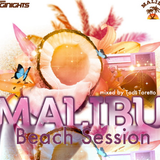 Malibu Beach Session