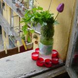 Musica leggera sull'orlo di una crisi di vento