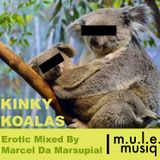 m.u.l.e. musiq Presents Kinky Koalas