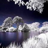♡Beauti-fall♡