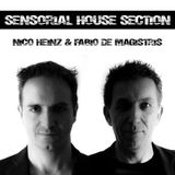 Sensorial House Section # 59 18-07-2013