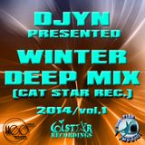 Djyn - Winter Deep Mix 2014 (Cat Star Rec.vol.1)