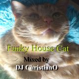 Funky House