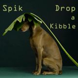 Spik - Drop ( d-.-b reworked )