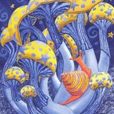 Meantime Mixes - The Road Is Paved With Many Weird Mushrooms