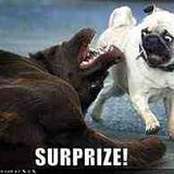 a nice little pick you uppa he he