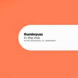 Thunderpuss In The Mix: An HDC Productions, Inc. Presentation