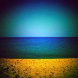 Balearica vol. 13