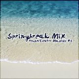 Yankee's House & Electro MashUp #1 (Springbreak Mix) (2012)