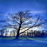 Hazy Shade Of Winter