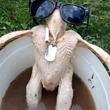THE TRYPTOPHAN EFFECT