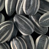 The Sun Seeds // idk (17/02/17) @ Amateur Radio