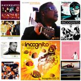 Incognito 00-13