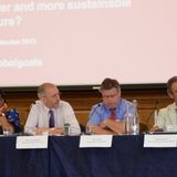 IDS and Beyond 2015 UK meeting on global goals - Speech by Chris Bain, Director, CAFOD