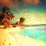 Balearica vol. 14