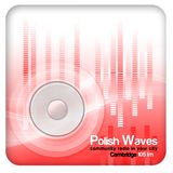 Polish Waves 2012-01-28