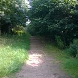 Totley Del Mar - August 2014 (Vocal House)