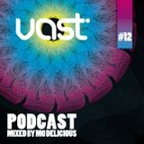 Vast Podcast #12 - mixed by Mo Delicious