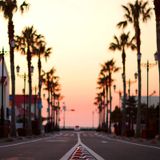 Summer Calling
