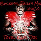 WISE2.0 BUCKEYES PARTY MIX