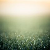 Just [Relax / Sleep] Music