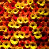 DJ SOREHEAD – RIDE THE MELLOW TRAIN – 12.04.2015