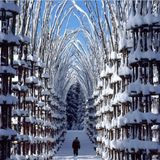 Whiterain Chilled Hip-Hop, Electro And House Mix