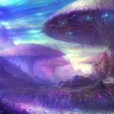 Zyce, a musical Journey through 2012 (Psy-Trance)