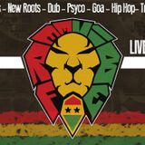 New Roots Reggae Mix DJ Andrew Free Vibe