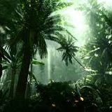 LIVE @ THE LOFT - TROPICAL HOUSE SET