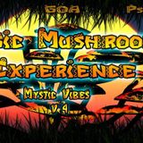 DJ SETI - Magic Mushrooms Experience
