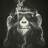 The Slow Burning Doobie of The Smokey Monkey