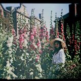 Boombop Shuffle #83 - Autochrome
