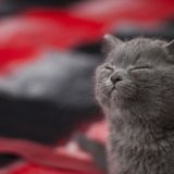 Close Your Eyes & Smile: Part 3
