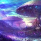Magic Minds Full On 2016 Psytrance Mix