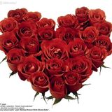 Happy Valentine's 2014