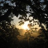 Zenon Night MIx Wald-Geschichten