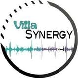 Villa Synergy 23 jan'13