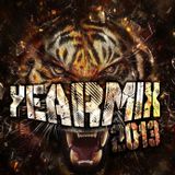 Electro Area - Year Mix