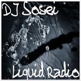DJ Sosei - Liquid Radio 55